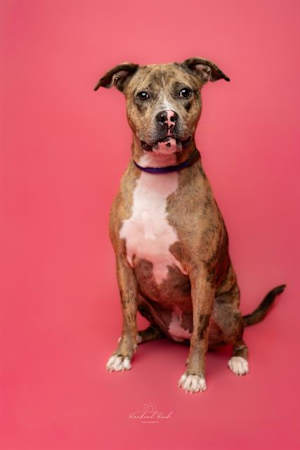 SNOOKIE - Photo 1