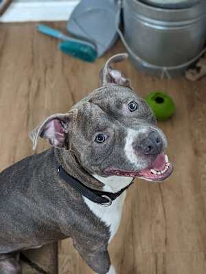 Cheech - Photo 4