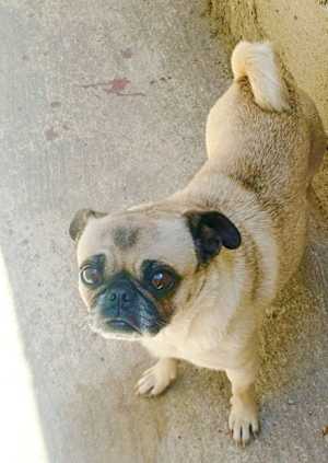 Georgie Girl - Photo 3