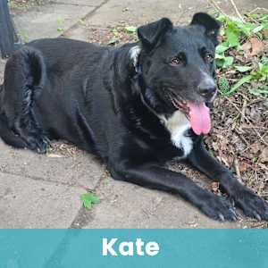 Kate - Photo 1