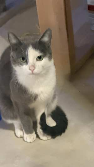 Lucy - Photo 4