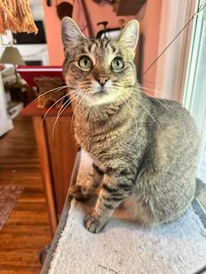 Missy - Photo 3
