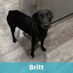 Britt - Photo 1