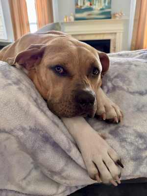 LUCY - Photo 1