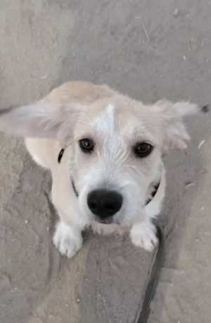 Eddie - Photo 1