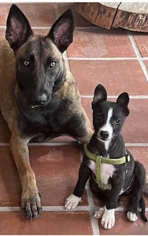 Penelope - Photo 4