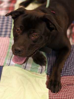 Cousin Cletus - Photo 3