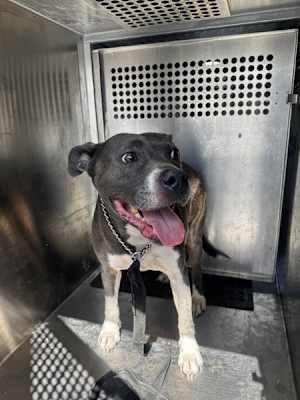 Zeek - Photo 1