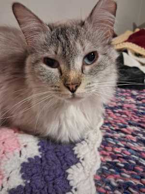 Zarina - Photo 1