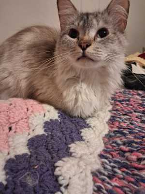 Zarina - Photo 3