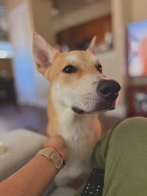 Simon - Photo 3