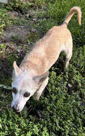 Hoppy ~ meet me! - Photo 3