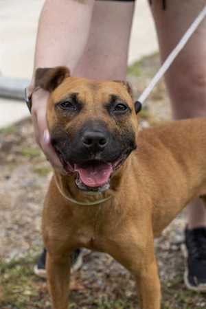 MARCIE - Photo 1