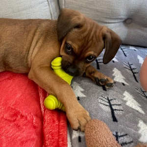 Bryce - Photo 4