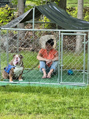 Blake Buttercup - Photo 4