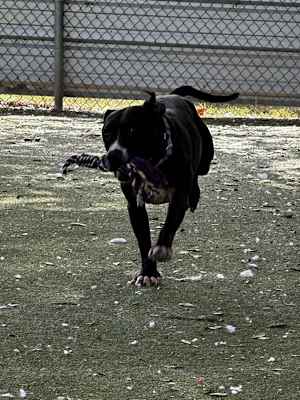 Murphy Lee - Photo 2