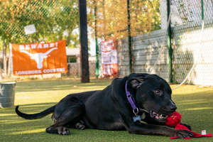 Marty - Photo 3