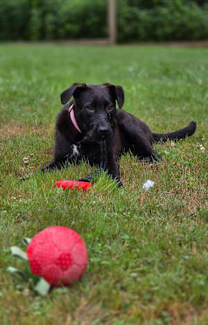 Vera~meet me! - Photo 4