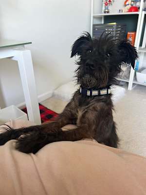 Mavis - Photo 2