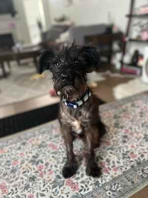 Mavis - Photo 3