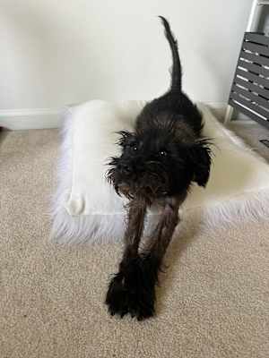 Mavis - Photo 4