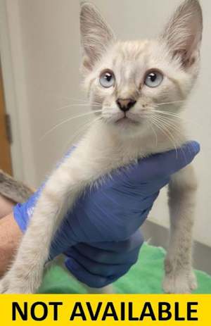 Disco - Photo 1