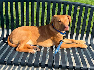 Cheeto ~ meet me! - Photo 1