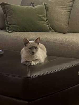 Darla - Photo 2