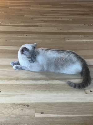Darla - Photo 3