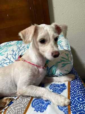 Cleo - Photo 1