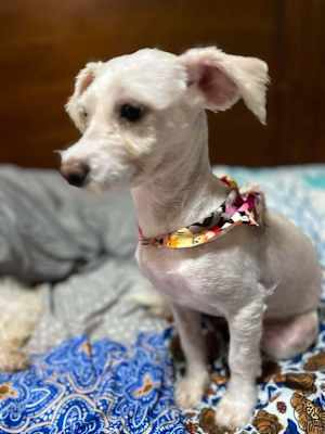 Cleo - Photo 2