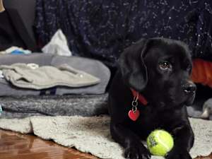 Barnabus - Photo 1