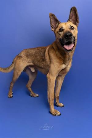 ZEKE - Photo 1