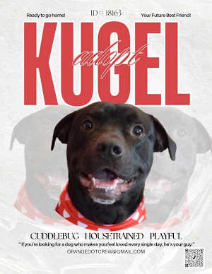 Kugel - Photo 4