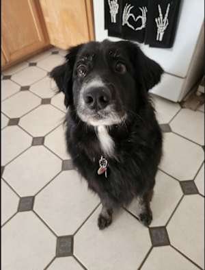 Cooper (CP) - Photo 2