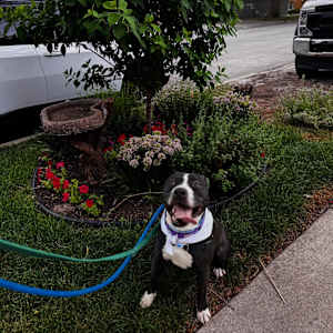 Aviva - Photo 5