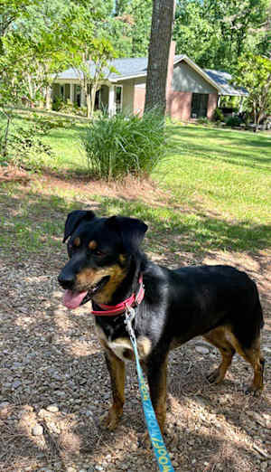 Raquel - Photo 1