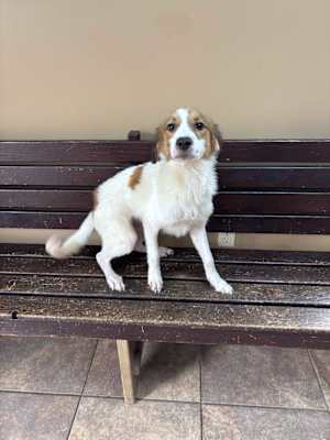 Baguette ~ meet me! - Photo 4
