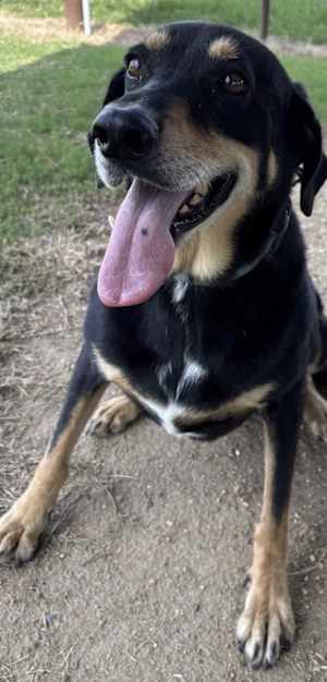 Timothy - Photo 4