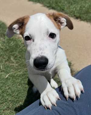 Zippo ~ meet me! - Photo 4