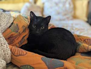 Vlad - Photo 2