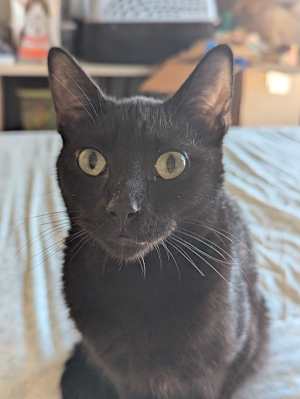 Vlad - Photo 3