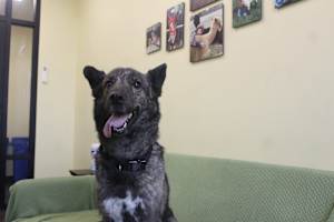 Emmie - Photo 4