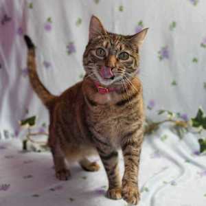 Zaza - Photo 1