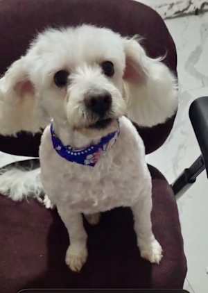 Bonnie - Photo 1