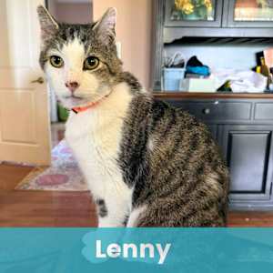 Lenny - Photo 1