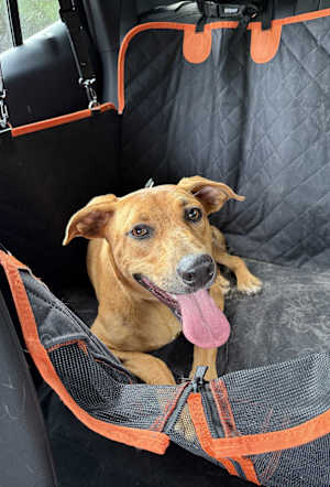 Tess (Tessa) ~ meet me! - Photo 1