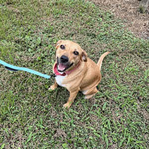 Peaches - Photo 2