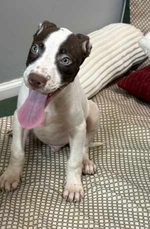 Doug - Photo 3