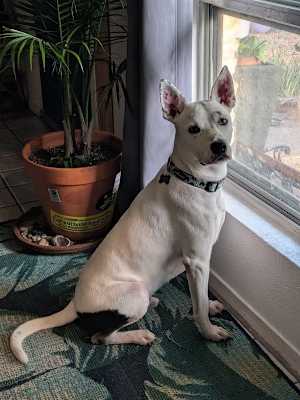 George - Photo 3